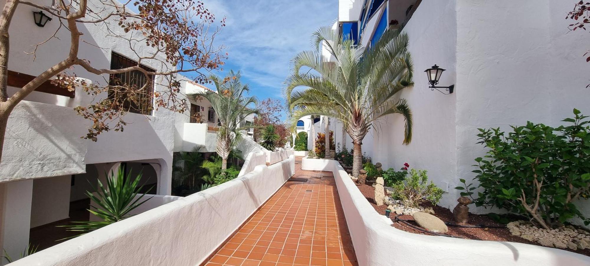 Wonderful Seaview Apartment - Los Cristianos Арона Екстериор снимка